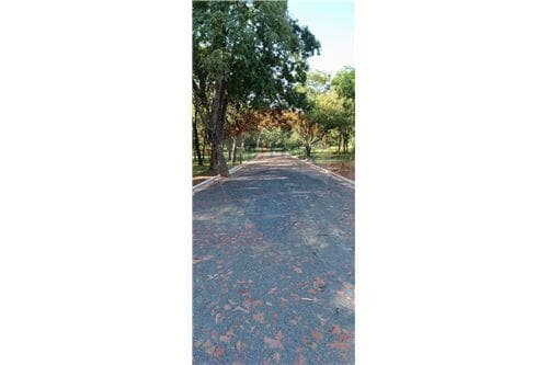 Terrenos con financiamiento propio en Villa Elisa