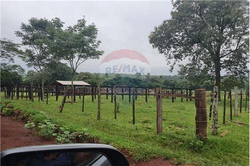 161 hts. De campo, mecanizado, bosque y piquete — foto 4