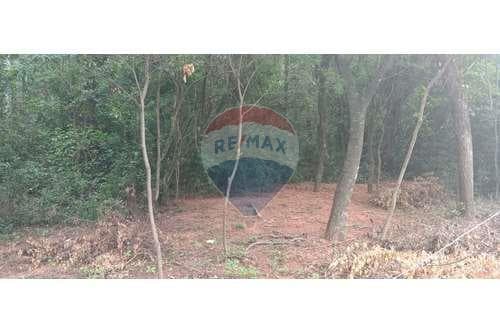 Terreno de Ensueño en Costa Pacú, Caacupé — foto 5