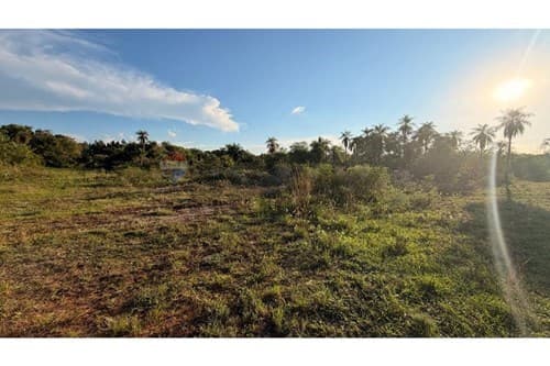Terreno en oferta - piribebuy — foto 3