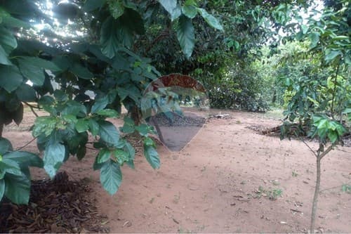 Terreno390m2/zona alta/itá a 40 mts de la ruta d02, foto 5