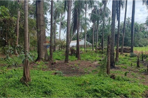 Terreno en venta – cabañas, caacupé, foto 3