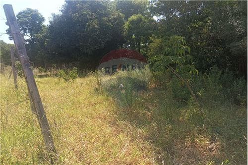 Terreno en aregua, foto 4