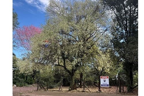 Terreno en Barrio Pacu cua..!, foto 4