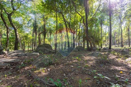 Terreno de 2has en emboscada minas