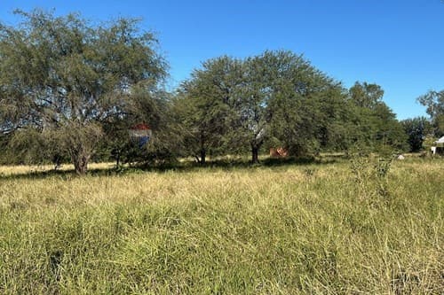 Lotes Comerciales– Cruce Boquerón, Loma Plata, foto 3