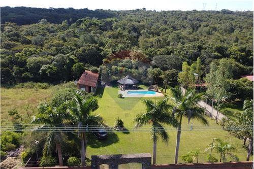 Imponente quinta en nueva colombia s/ ruta — foto 5