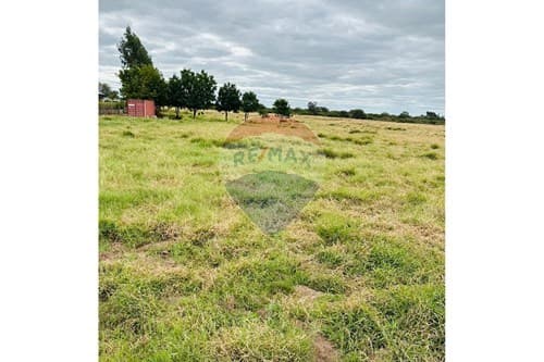 Inversión Ideal: Terreno Amplo en Filadelfia — foto 4