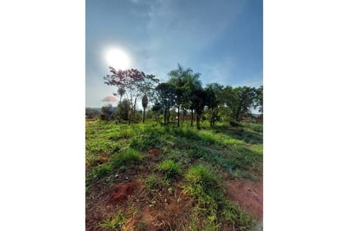 3 terrenos en ypané — foto 3
