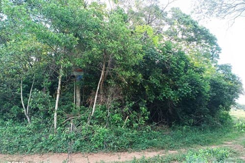 Terreno en venta- paraguari — foto 3