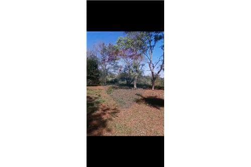 Terreno en aregua-jukyty, foto 3