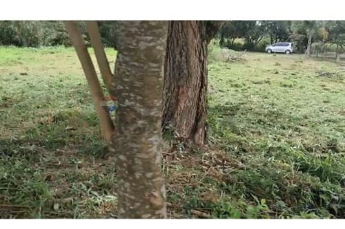 Hermoso terreno-villeta — foto 5