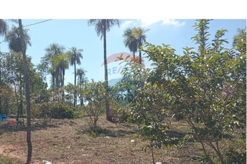 Terreno de tus sueños en loma grande — foto 5