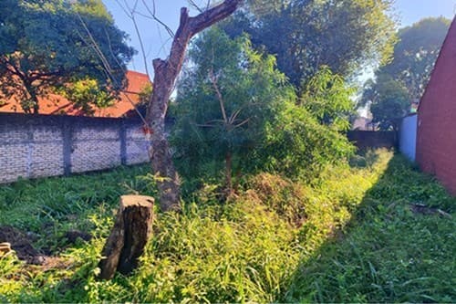Terreno sobre asfalto Mariano Roque Alonso, foto 3