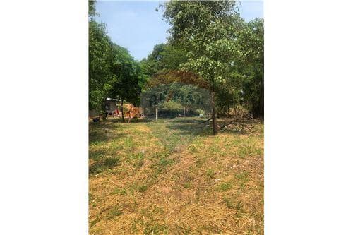 Terreno inmediaciones del puente remanso — foto 3