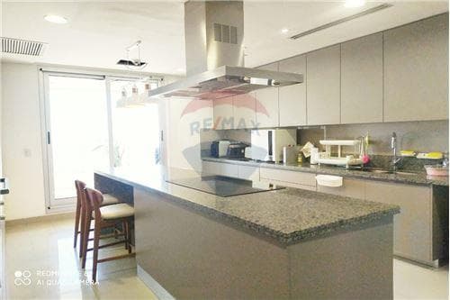 Dpto de 342 m2 en palacio de los patos, foto 5