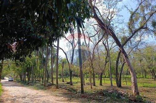 Terreno perfecto para construir Itauguá — foto 4