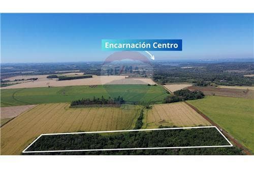En venta 2 hectareas barrio santo domingo — foto 3