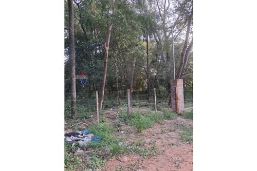 Terreno en Mariano Roque Alonso, foto 1