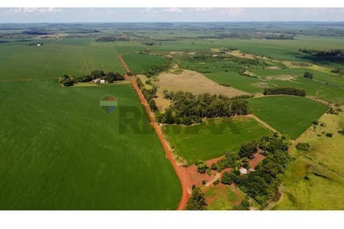 10 hectareas en venta — foto 4
