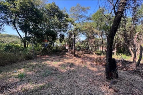 Terreno en Luque — foto 5