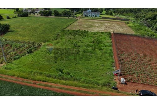 Terreno en el Centro de Naranjal, Alto Paraná — foto 4
