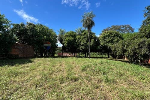 2 terrenos juntos en ypane- bo san antonio — foto 5