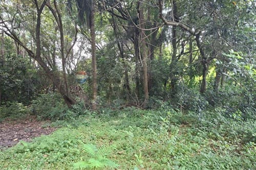 Terreno en Altos: Gran Potencial! — foto 4