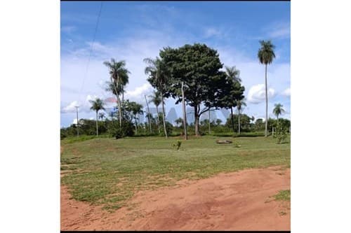Erreno en venta itaugua, guayaibity 1 — foto 3