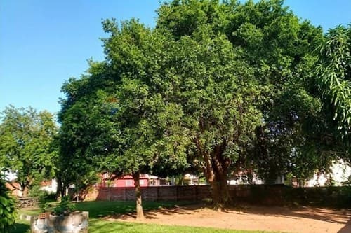 ¡Invierte en Santaní! Terreno a demoler, 339 m², foto 2