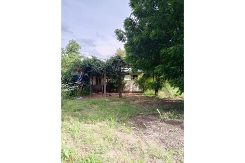Oportunidad única en Loma Plata, Boquerón — foto 4
