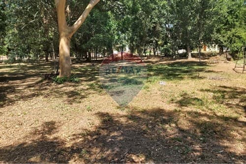 Construye Tu Sueño en Jardines de Ypacaraí