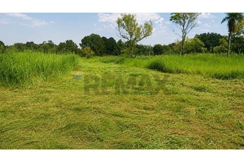 Terreno en venta km16 monday- minga guazu — foto 4