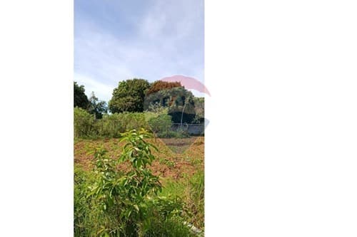 4 terreno en itaugua — foto 4