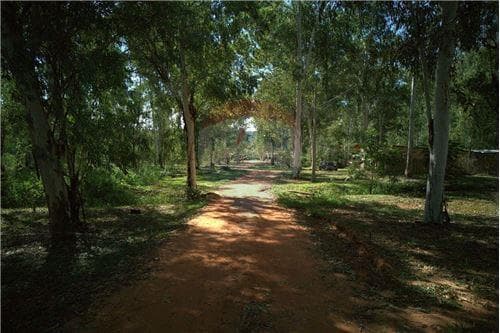 Terreno en sanber a 260,000 X m2 — foto 4