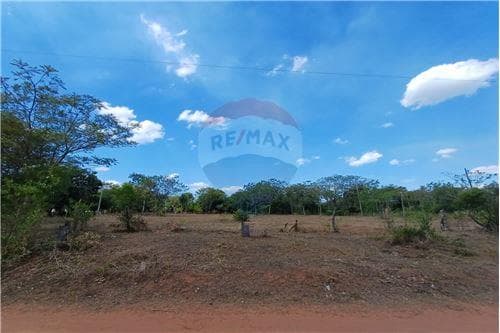 Terreno 5.000 m2 a 350 metros de Ruta 2 - Caacupe — foto 4