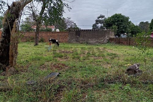Terreno en Areguá:, foto 2