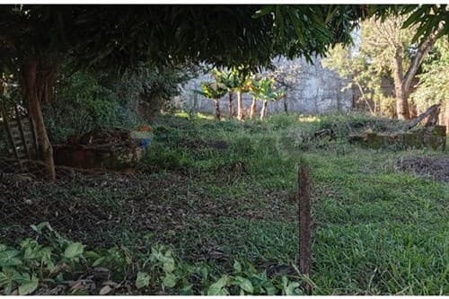 Terreno en Excelente Oportunidad, San Pedro, foto 3