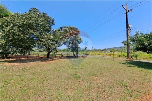 2.503 m2 en loma guasu - ca acupe — foto 3