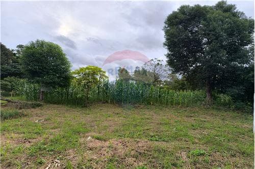 Dos Terrenos en venta - Capitan Miranda Centro