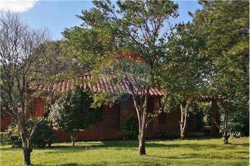 Casa quinta con árboles frutales y amplio patio