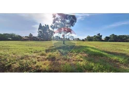 DE LOTES en Capitán Miranda! — foto 4