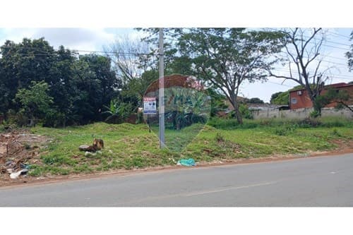 - terreno 541 m² - Villa Elisa — foto 4