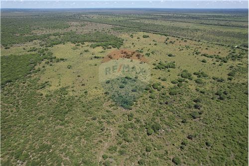Campo 3.749 Has. 7800 m2- Pte. Hayes Ruta Ñ — foto 4