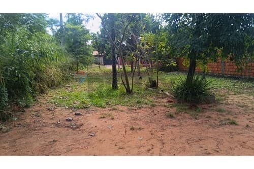 Terreno en aregua - Las Mercedes — foto 3