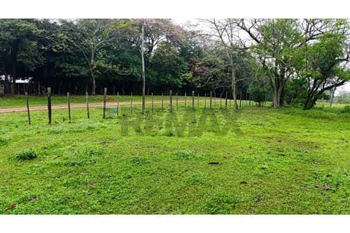 Terreno en venta de 11 hectáreas + 9.000 m², foto 1
