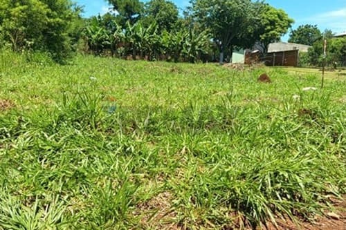 Terreno de 360 m² en KM 8 Acaray, Ciudad del Este — foto 4