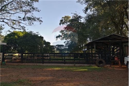 Propiedad agricola ganadera de 23.5 hectáreas — foto 4