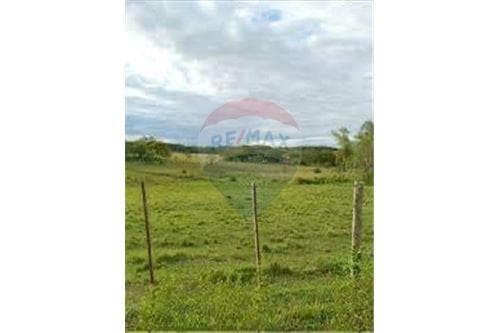 Terreno de 12.9 hectareas en caaguazu — foto 5