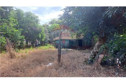Amplio terreno en venta — foto 2